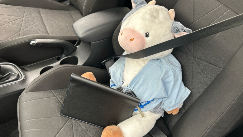 Hyundai BAYON 1.0 TGDi [120] 48V MHEV Premium 5dr Petrol Hatchback